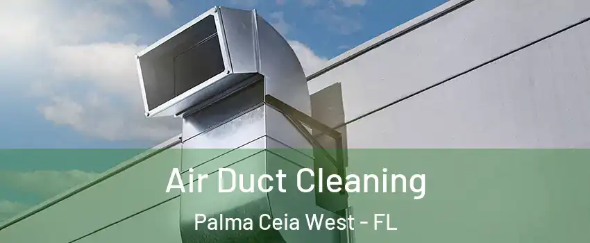 Air Duct Cleaning Palma Ceia West - FL