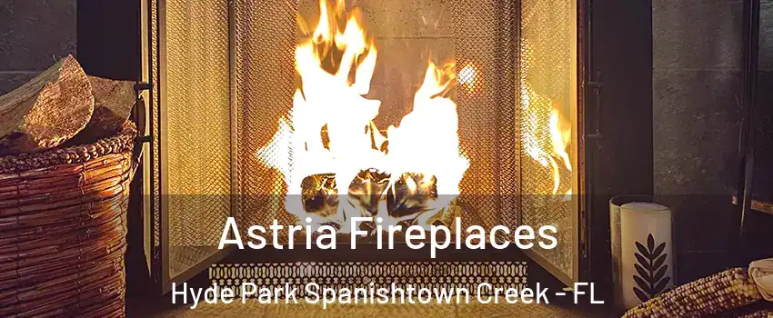 Astria Fireplaces Hyde Park Spanishtown Creek - FL