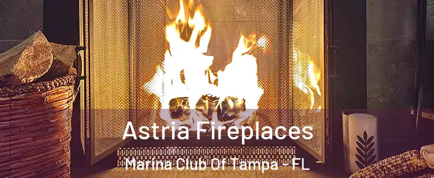 Astria Fireplaces Marina Club Of Tampa - FL