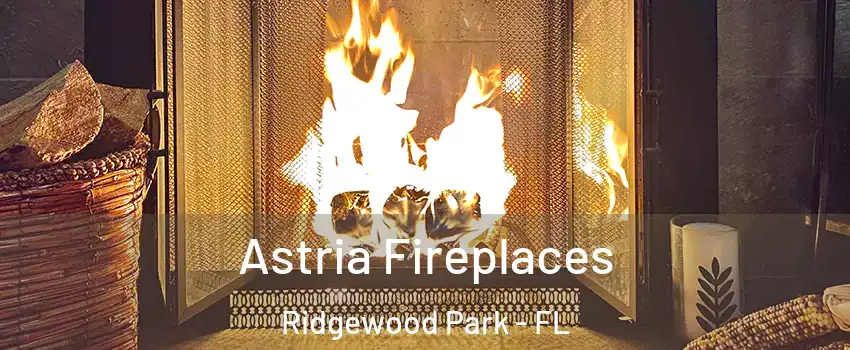 Astria Fireplaces Ridgewood Park - FL