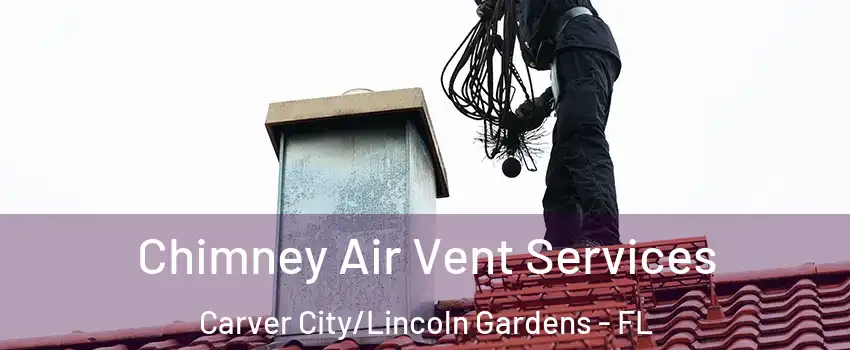 Chimney Air Vent Services Carver City/Lincoln Gardens - FL