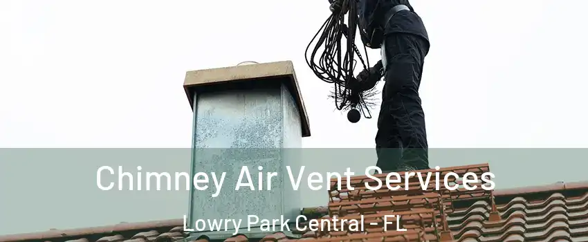 Chimney Air Vent Services Lowry Park Central - FL