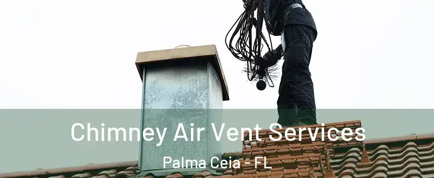 Chimney Air Vent Services Palma Ceia - FL