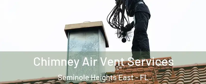 Chimney Air Vent Services Seminole Heights East - FL