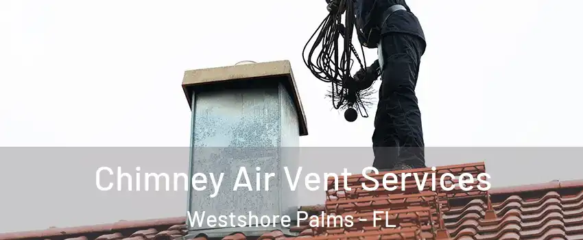 Chimney Air Vent Services Westshore Palms - FL