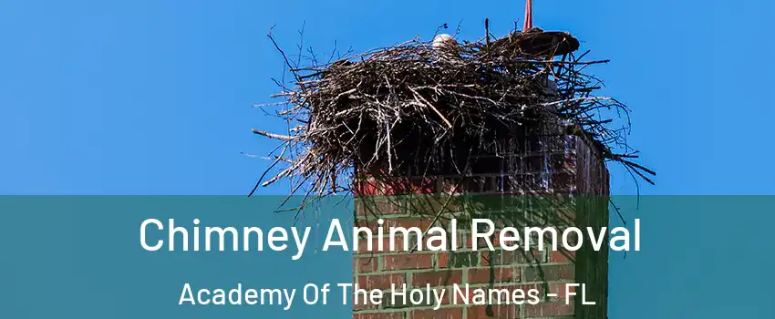 Chimney Animal Removal Academy Of The Holy Names - FL