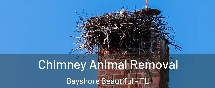 Chimney Animal Removal Bayshore Beautiful - FL