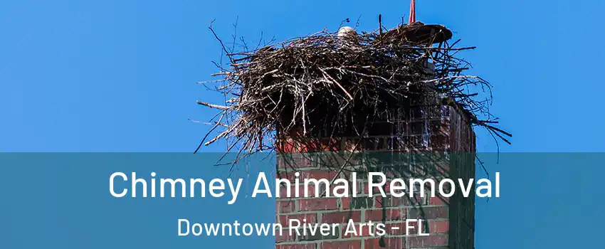 Chimney Animal Removal Downtown River Arts - FL