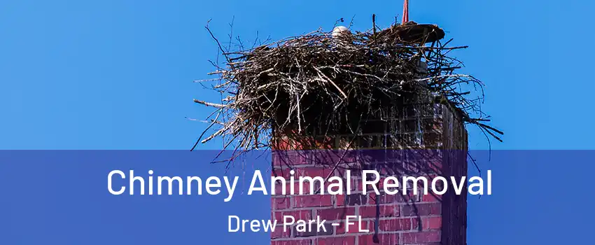 Chimney Animal Removal Drew Park - FL