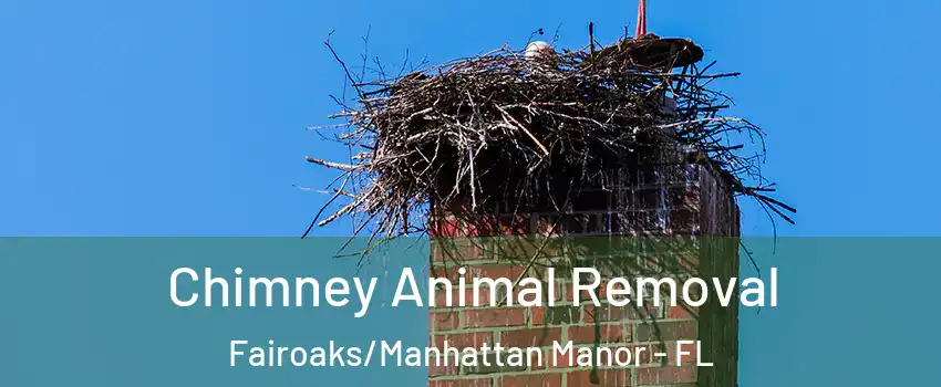 Chimney Animal Removal Fairoaks/Manhattan Manor - FL