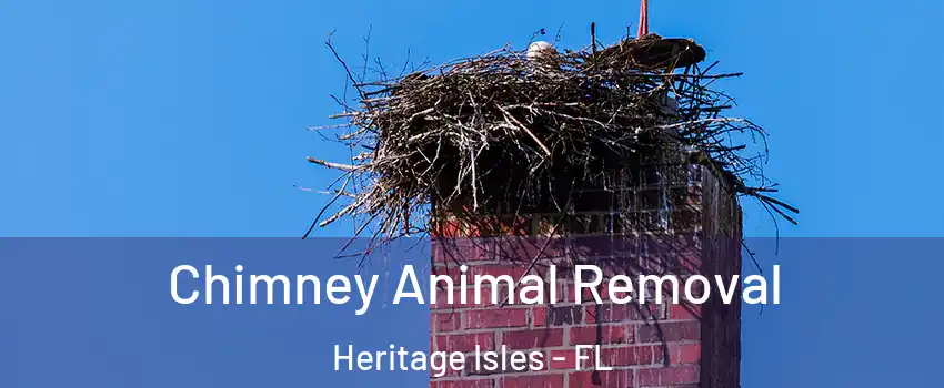 Chimney Animal Removal Heritage Isles - FL