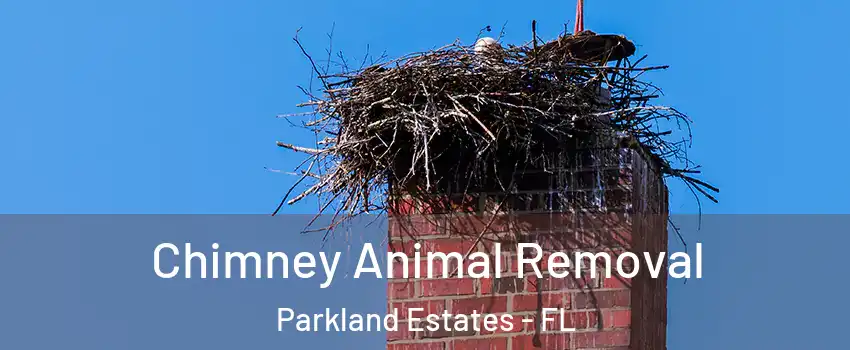 Chimney Animal Removal Parkland Estates - FL