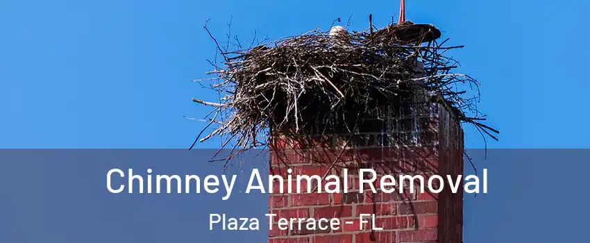 Chimney Animal Removal Plaza Terrace - FL