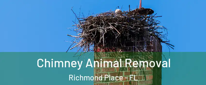 Chimney Animal Removal Richmond Place - FL