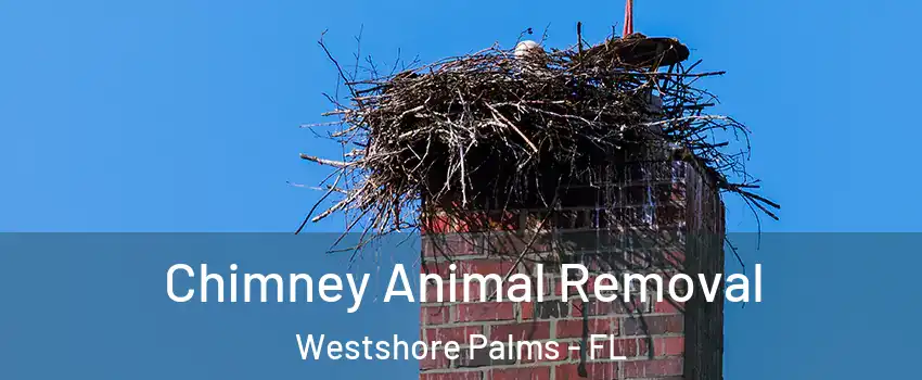 Chimney Animal Removal Westshore Palms - FL