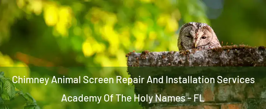 Chimney Animal Screen Repair And Installation Services Academy Of The Holy Names - FL