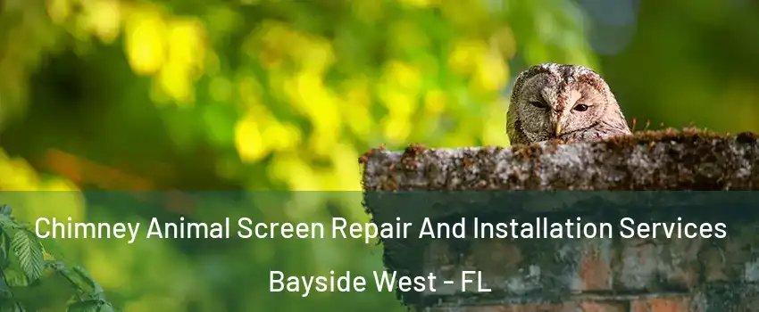 Chimney Animal Screen Repair And Installation Services Bayside West - FL