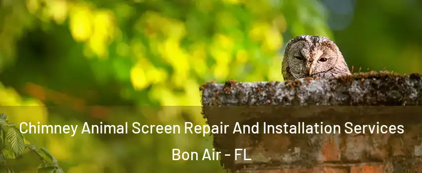 Chimney Animal Screen Repair And Installation Services Bon Air - FL