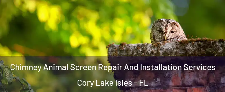 Chimney Animal Screen Repair And Installation Services Cory Lake Isles - FL