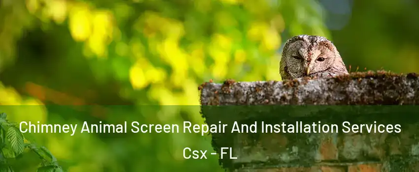 Chimney Animal Screen Repair And Installation Services Csx - FL