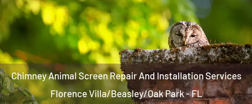 Chimney Animal Screen Repair And Installation Services Florence Villa/Beasley/Oak Park - FL