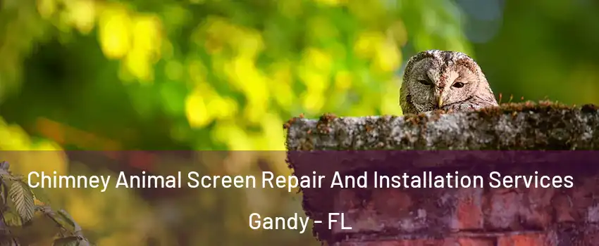 Chimney Animal Screen Repair And Installation Services Gandy - FL