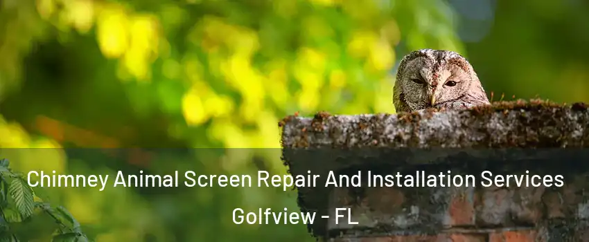 Chimney Animal Screen Repair And Installation Services Golfview - FL