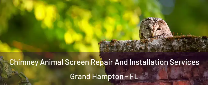 Chimney Animal Screen Repair And Installation Services Grand Hampton - FL