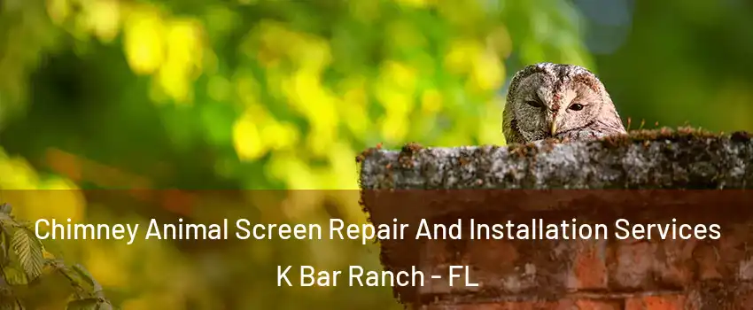 Chimney Animal Screen Repair And Installation Services K Bar Ranch - FL