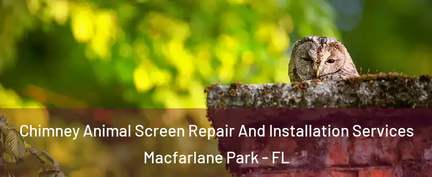 Chimney Animal Screen Repair And Installation Services Macfarlane Park - FL