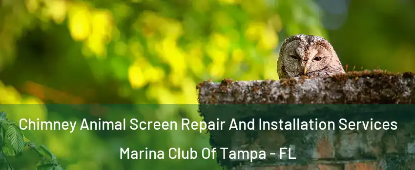 Chimney Animal Screen Repair And Installation Services Marina Club Of Tampa - FL