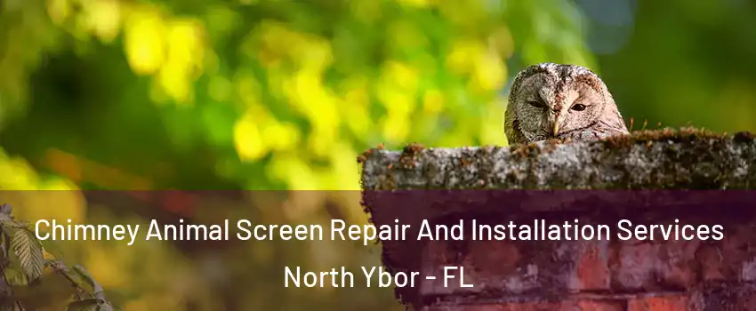 Chimney Animal Screen Repair And Installation Services North Ybor - FL