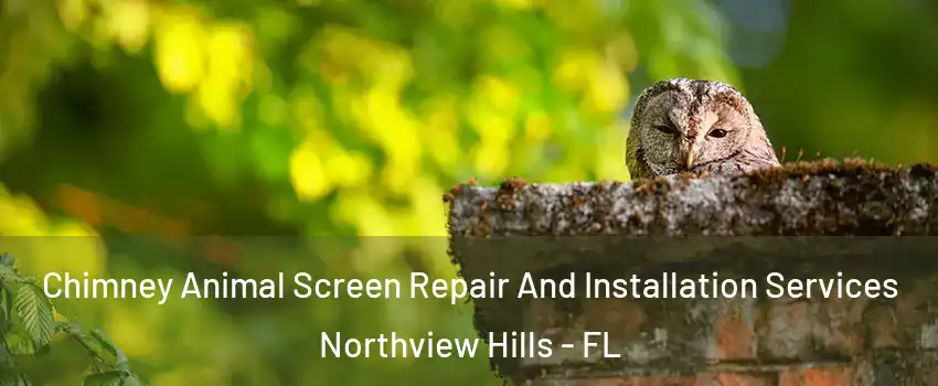 Chimney Animal Screen Repair And Installation Services Northview Hills - FL