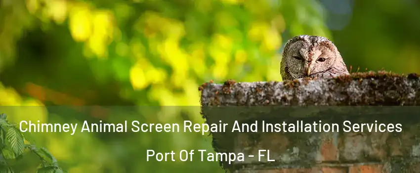 Chimney Animal Screen Repair And Installation Services Port Of Tampa - FL