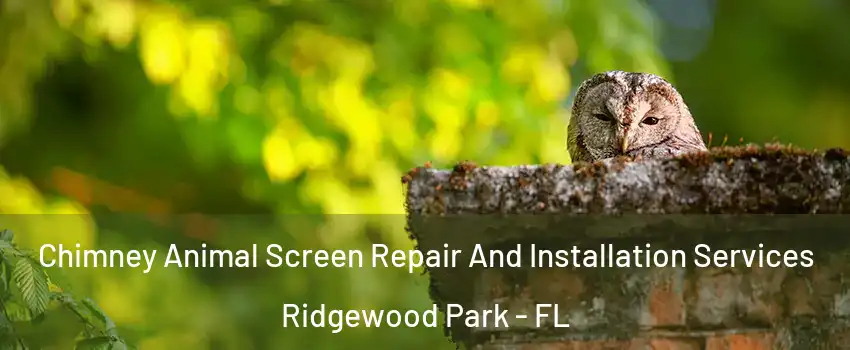 Chimney Animal Screen Repair And Installation Services Ridgewood Park - FL