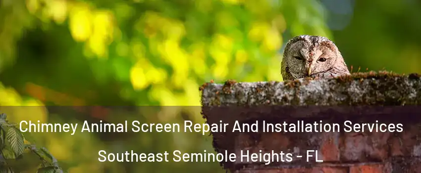 Chimney Animal Screen Repair And Installation Services Southeast Seminole Heights - FL