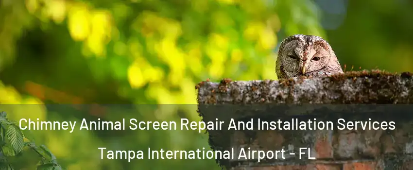 Chimney Animal Screen Repair And Installation Services Tampa International Airport - FL