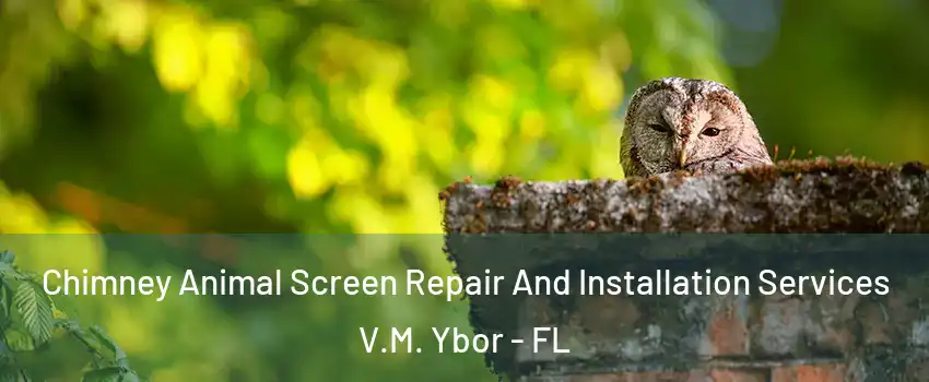 Chimney Animal Screen Repair And Installation Services V.M. Ybor - FL