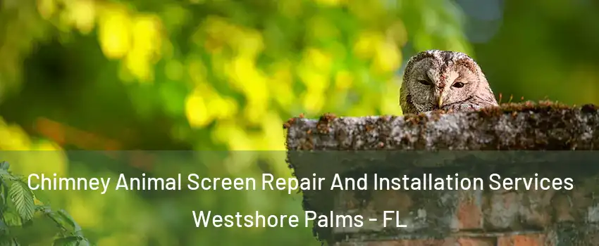 Chimney Animal Screen Repair And Installation Services Westshore Palms - FL