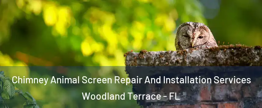 Chimney Animal Screen Repair And Installation Services Woodland Terrace - FL