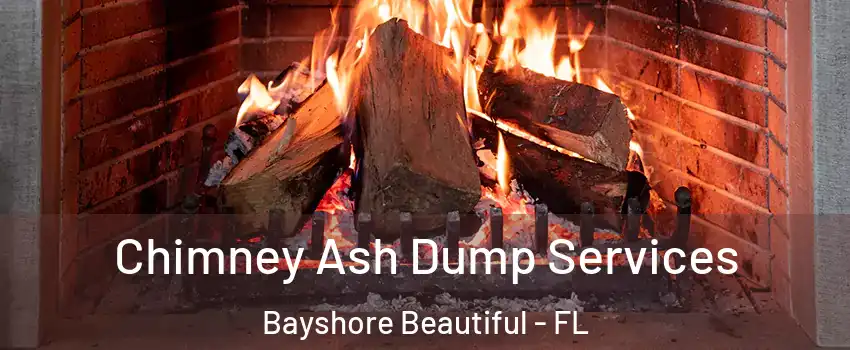 Chimney Ash Dump Services Bayshore Beautiful - FL