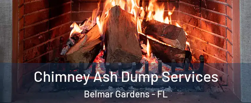 Chimney Ash Dump Services Belmar Gardens - FL