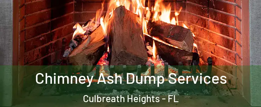 Chimney Ash Dump Services Culbreath Heights - FL