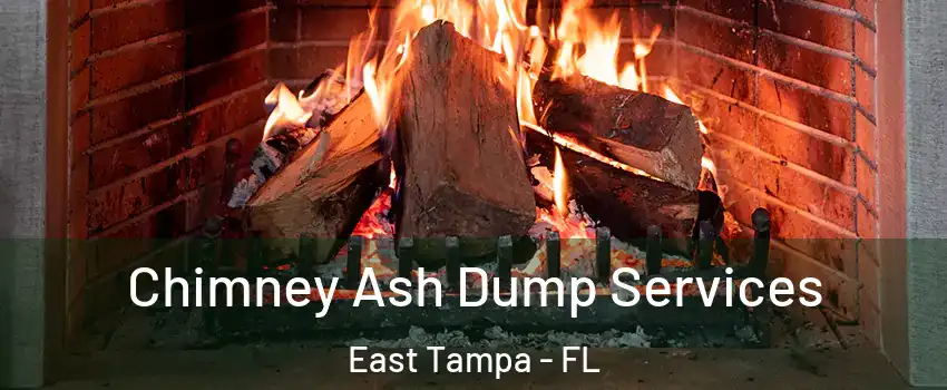 Chimney Ash Dump Services East Tampa - FL