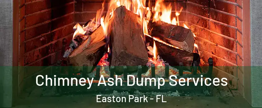 Chimney Ash Dump Services Easton Park - FL