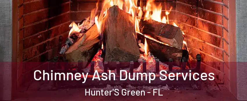 Chimney Ash Dump Services Hunter'S Green - FL