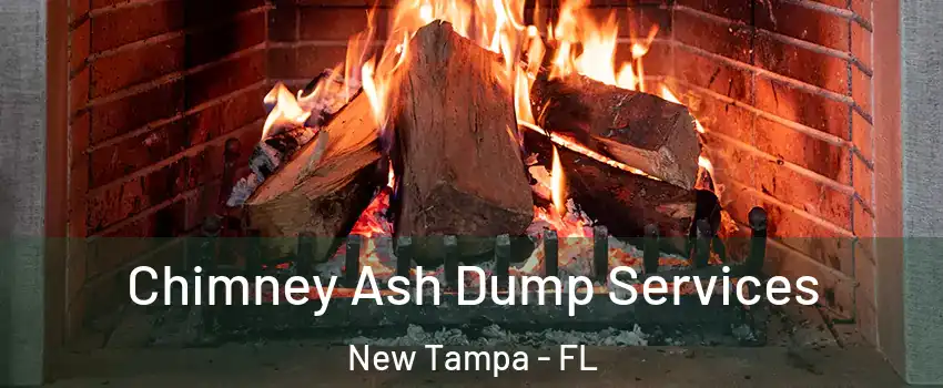 Chimney Ash Dump Services New Tampa - FL