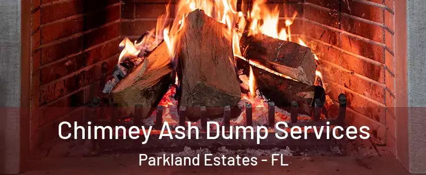 Chimney Ash Dump Services Parkland Estates - FL