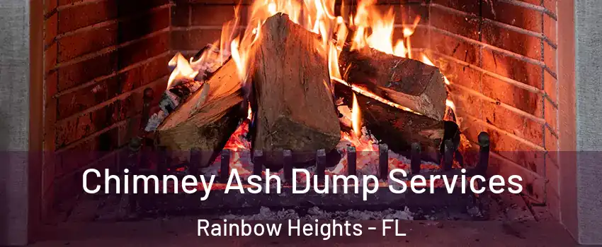 Chimney Ash Dump Services Rainbow Heights - FL