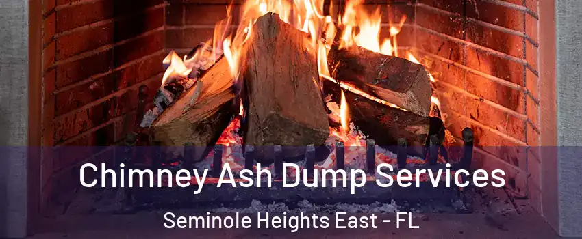 Chimney Ash Dump Services Seminole Heights East - FL